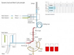 Dynamic Load & Wash Ablaufzyklus